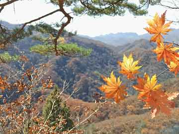 天水最新人事任免情況概述